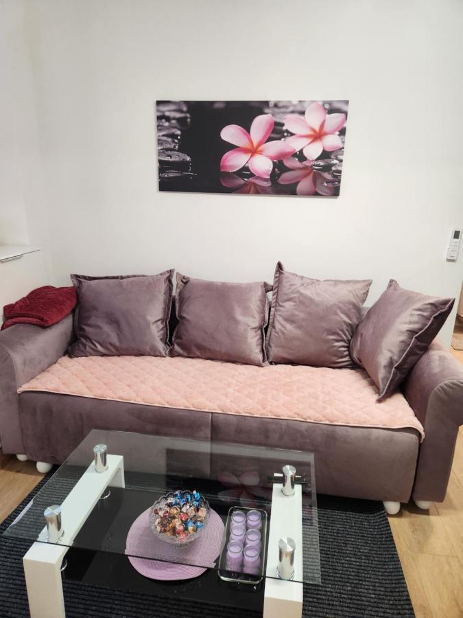 Apartman Zagreb Cca 42M2 With Free Parking 外观 照片