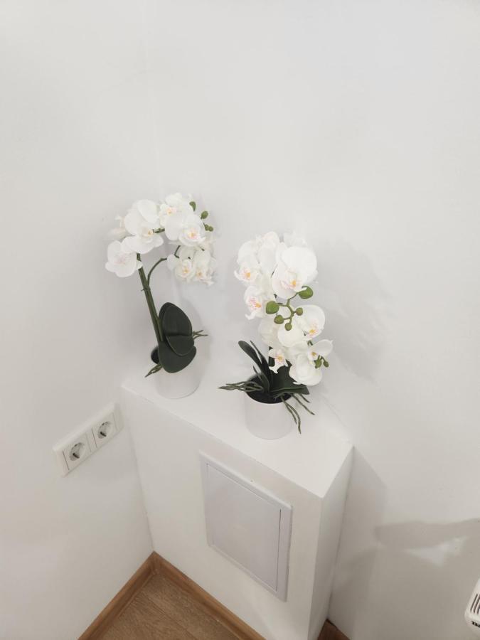 Apartman Zagreb Cca 42M2 With Free Parking 外观 照片